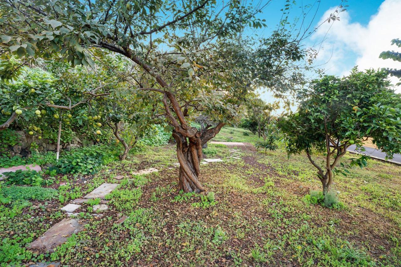 Casa La Victoria Villa La Victoria de Acentejo Luaran gambar